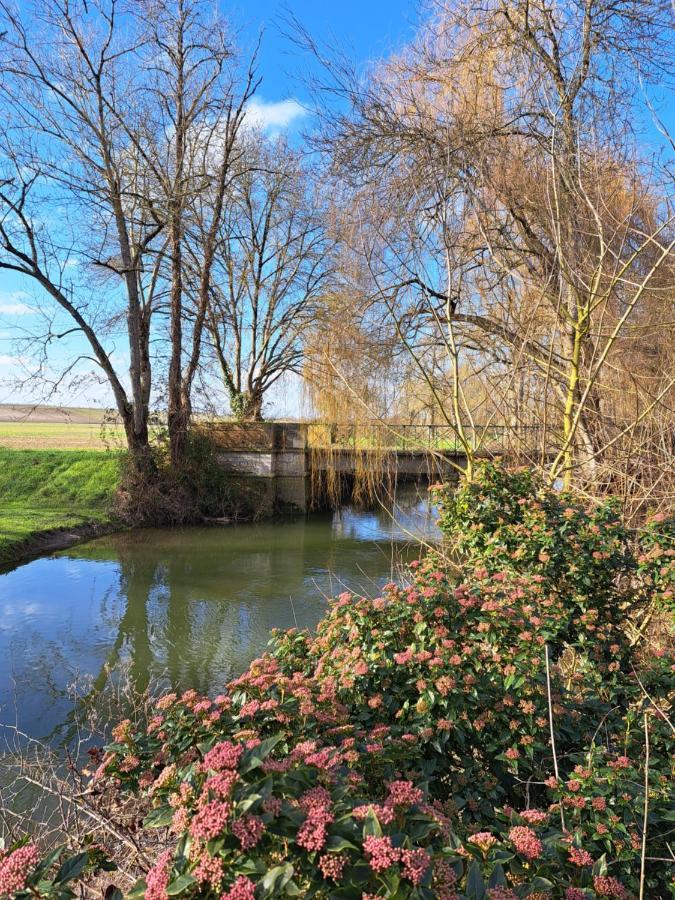 Le Moulin Etourneau - 3 Gites Avec 2 Piscines Champagnac  ภายนอก รูปภาพ